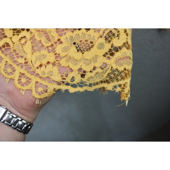 Blushing Heart All Lace Long Bell Sleeve Tunic-Sheer-Lined-Large-Cottagecore - Picture 5 of 12